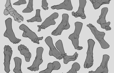 Hướng Dẫn Cách Vẽ Bàn Chân Cơ Bản Cho Người Mới Bắt Đầu