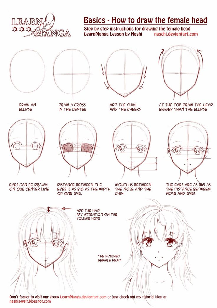 Khóa học manga chuyên nghiệp
